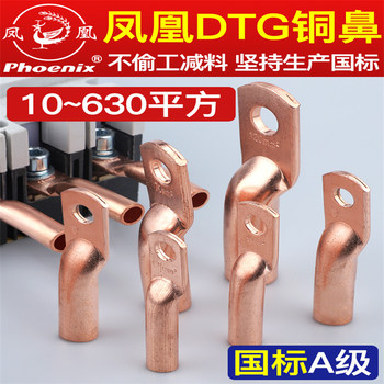 Dtg Oil-Blocking Terminal Block, National Standard Copper Nose, Copper Connector, Copper Direct Connector, Copper Pipe Connector, Copper Direct Connector