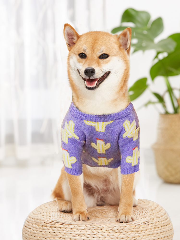 Chai Dog Clothes Autumn Winter Kitty Dogs Kirkie Chai Dogs Winter Warm Winter New Nets Red Cute Little Dogs-Taobao