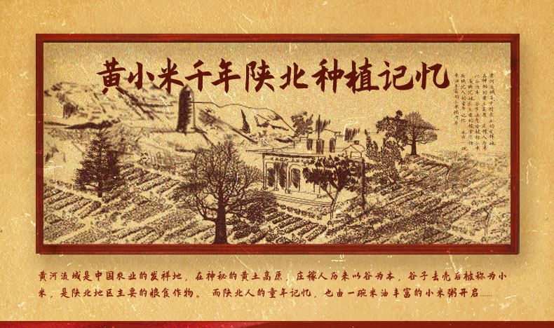 正宗延安黄小米400g*3袋 图1