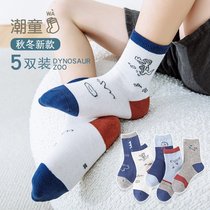 Children Socks Boy High Waist Pure Cotton Spring Autumn 10 CUHK Scout 12-year-old dinosaur Spider-Man in the middle of the box Sox Spring Festival