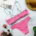 2018 áo tắm thêu hoa châu Âu và Mỹ bùng nổ áo tắm kẻ sọc gợi cảm bikini đồ tắm nữ Bikinis