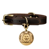 Кожа кожа кожа Pet Dog Кожаное кольцо на заказ латунные гравированные брендские бренды бренда средняя собака большая идентификационная карта собаки