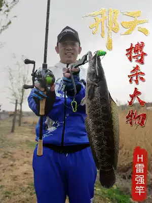 Lei strong Rod Black fishing rod heavy and light Thunder super hard water dripping wheel drum single rod xh black special Rod Luya Rod set