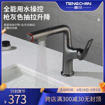 Japanese Fujikawa Household pull-out lift hot and cold tap toilet bathroom Terri basin Pelvis Gun Grey Dragon Head