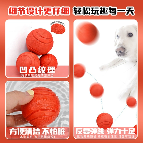 Dog Toy Ball Puppy
