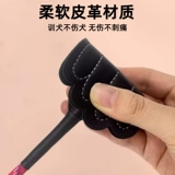 Артефакт собак, собачья палка, щенка для домашних животных должно иметь обязательные припасы, свет, светоразвитие, обучение стреляющей собаки, палочка кнута