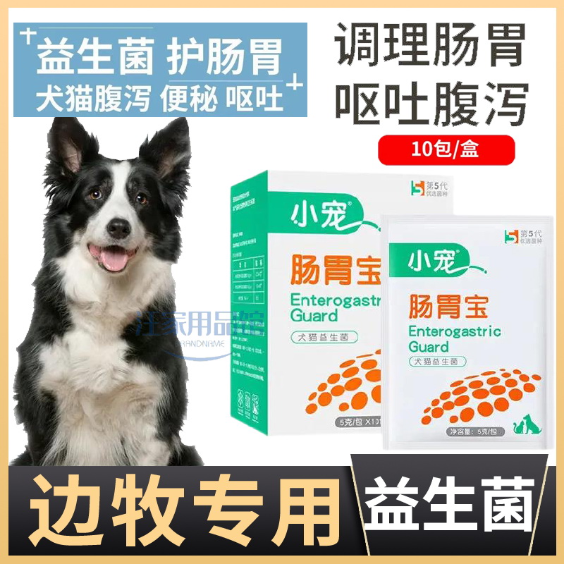 Border Shepherd Dog Dog Dedicated Nourishment to the Dog Stench Stench Dog Beast to Use Probiotic Powder to Treat Gastrointestinal constipation