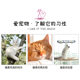 cat hammock cat bed suction cup cat hanging nest hanging bed cat nest window glass window sill pet supplies sunbathing