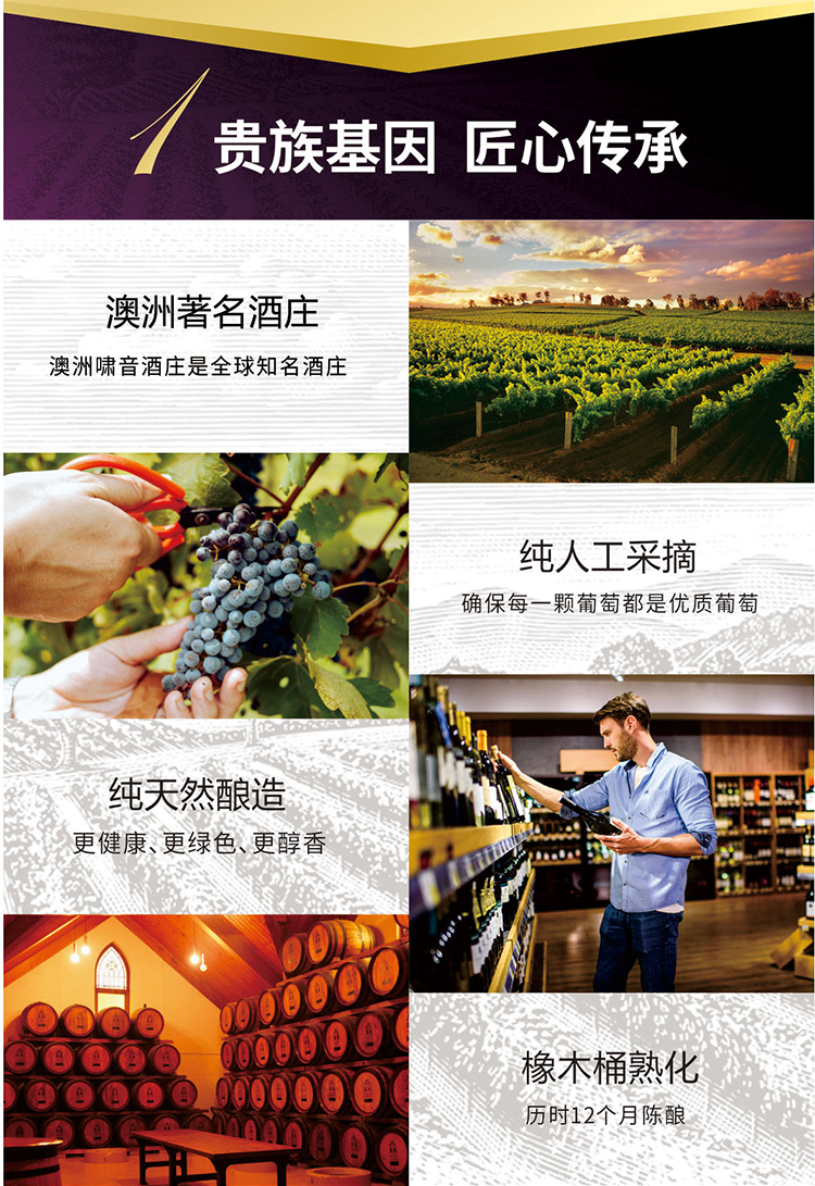 澳洲原瓶进口  Jecups 吉卡斯 金鹊喜干红葡萄酒 750ml 礼盒装 图2