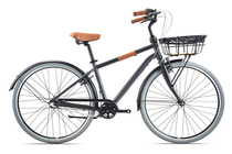 Teanter Mormanton iNeed Dandi N3 male and female couples Leisure Xiaoqing New Town commuter bike
