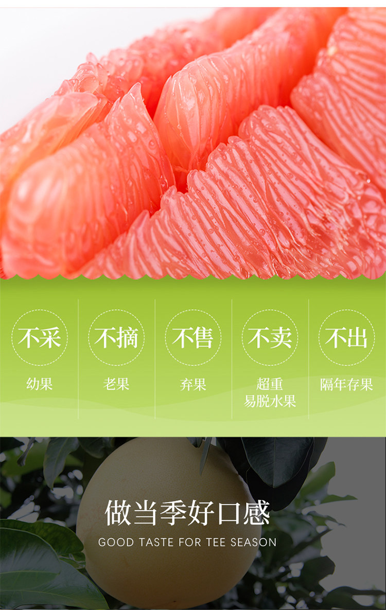福建平和琯溪 红心柚子 净重4.5斤 2个 图8