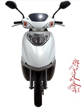 Suitable for Wuyang Honda little Princess 100 new joy shell WH100T-M-N-3 light box panel front wall