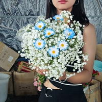 Белая звезда 1 Жаза+Дай 8 синий симулятор цветок ромашка