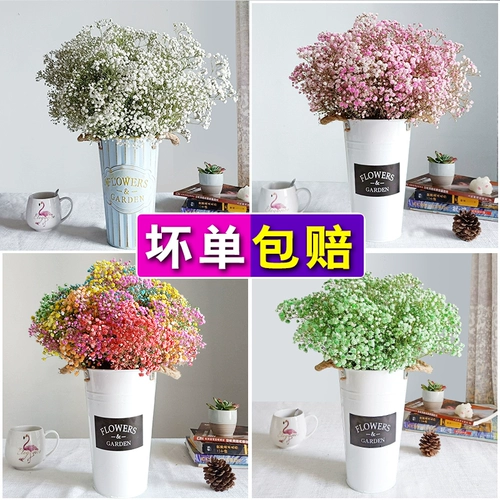 Полный Tianshan Dry Flower Букет настоящие цветы цветочные цветочные украшения украшения маленький свежий воздух сухой ваза