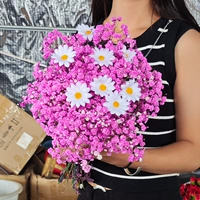 Mei Hongxing 1 Zhaza+дайте 8 симуляционный цветок ромашка