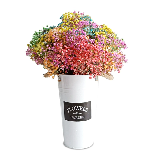 Полный Tianshan Dry Flower Букет настоящие цветы цветочные цветочные украшения украшения маленький свежий воздух сухой ваза