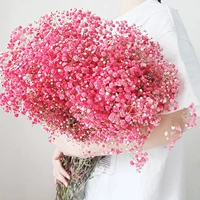 Red Starry Sky - очень большая куча - 2 кот