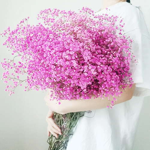 Полный тиантиан сухой цветочные балки