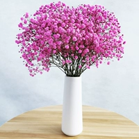 Rose Red Full Star Beam (без бутылки)