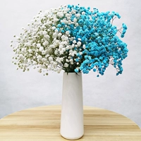 Синяя+белая звезда звезда прыгает (без бутылки)