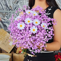 Purple Star 1 Zhaza+отправить 8 симуляционный цветок ромашка