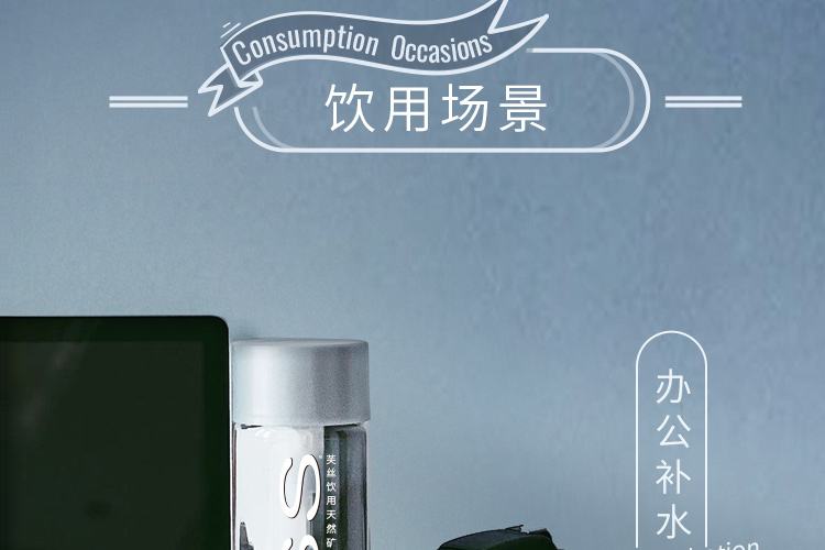 Voss芙丝 高锶低钠弱碱 天然矿泉水 500ml*12瓶*3件 图11