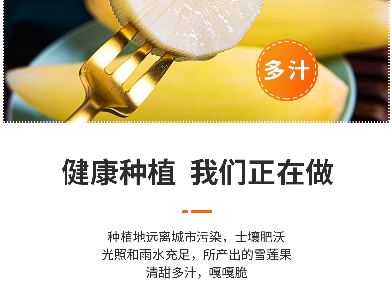 云南天山雪莲果 10斤 新鲜现挖 图5