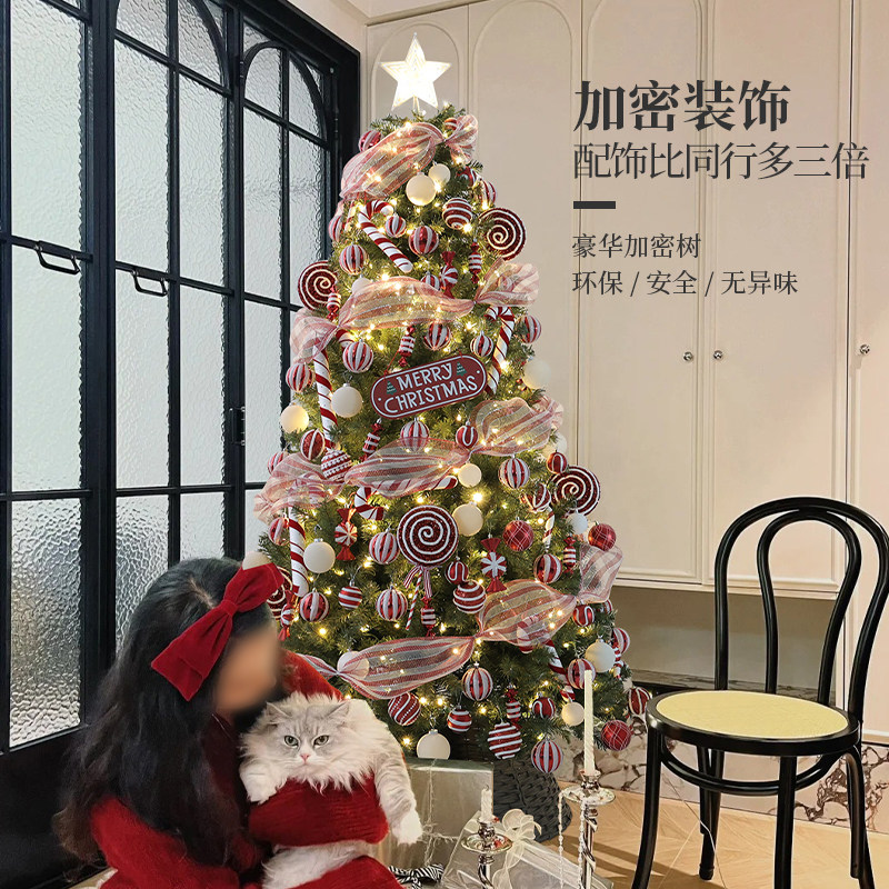 圣诞树客厅家用网红DIY2024新款大型INS风高级感圣诞节装饰耶诞树🎄 -圣诞树-淘宝百科网