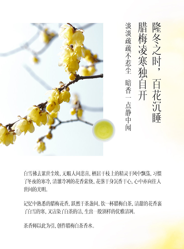 茶香師 臘梅白茶香水 覆雪之下盛開的臘梅花 清涼自然偽體香30ml