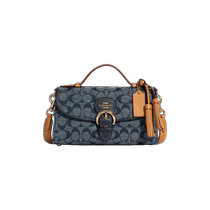 COACH GUCCI GUCCI OFFICIELLE Lady Lady Lady Double C Signe unique Satchel Inclined Satchel handbag C8513