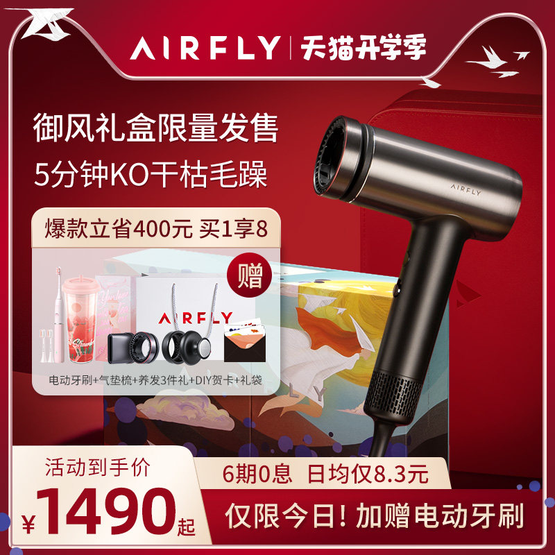 AIRFLY hair dryer Household negative ion caviar hair care Porsche small high-speed hair dryer gift female