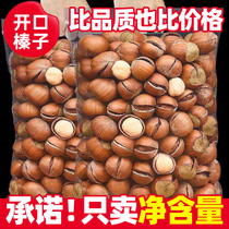 New arrival big hazelnut 500g original flavor big hazelnut new year snacks for pregnant women nuts new year roasted seeds and nuts wholesale