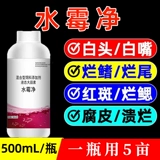 Специальность плесени воды, лекарство от рыбы, гнилое тело, гнилая хвостовая рыба Аквакультура, креветки, крабовый пруд Специальные воды для воды белые волосы, Грамовая звезда водяная плесень