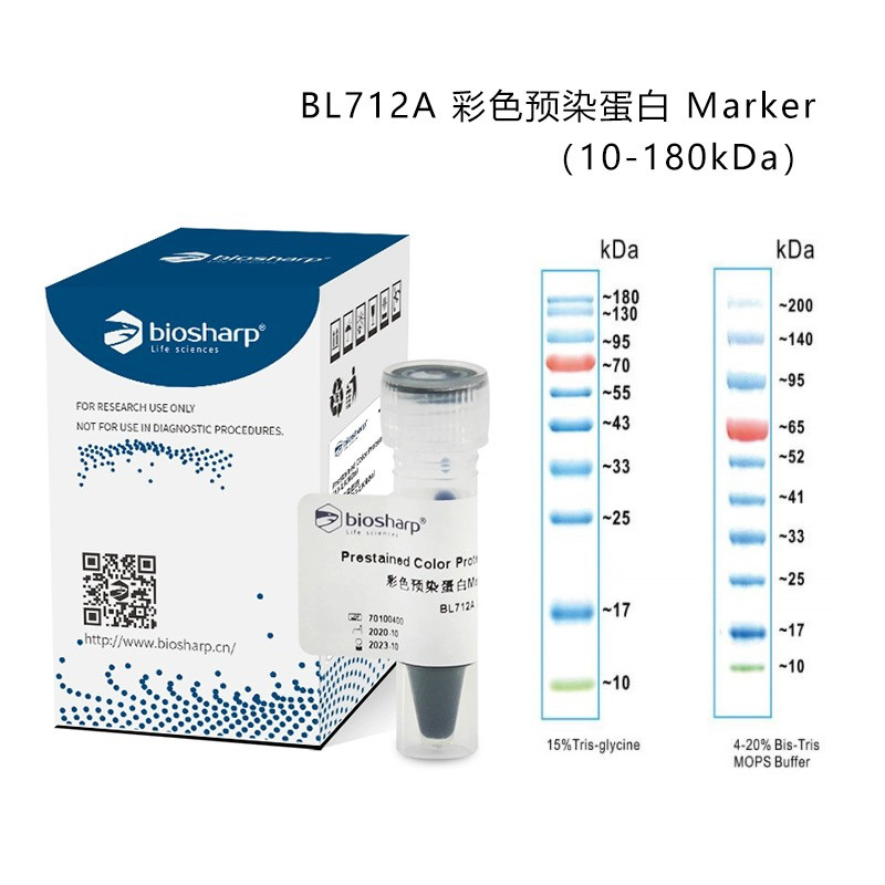 biosharp 彩色预染/非预染蛋白markerSDS-PAGE电泳marker条带清晰