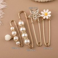 Корсет, брошь, комплект