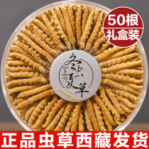 Caterpillar Fungus Official Flagship Store Caterpillar Fungus 50 gr Dry Goods Winter Caterpillar a gift canon 10 klee box dress