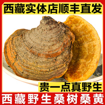 Tibets wild mulberry trees Sanhuang Linzhi Lingzhi Lingzhi Lingzhi Tibet Autonomous Region 500g