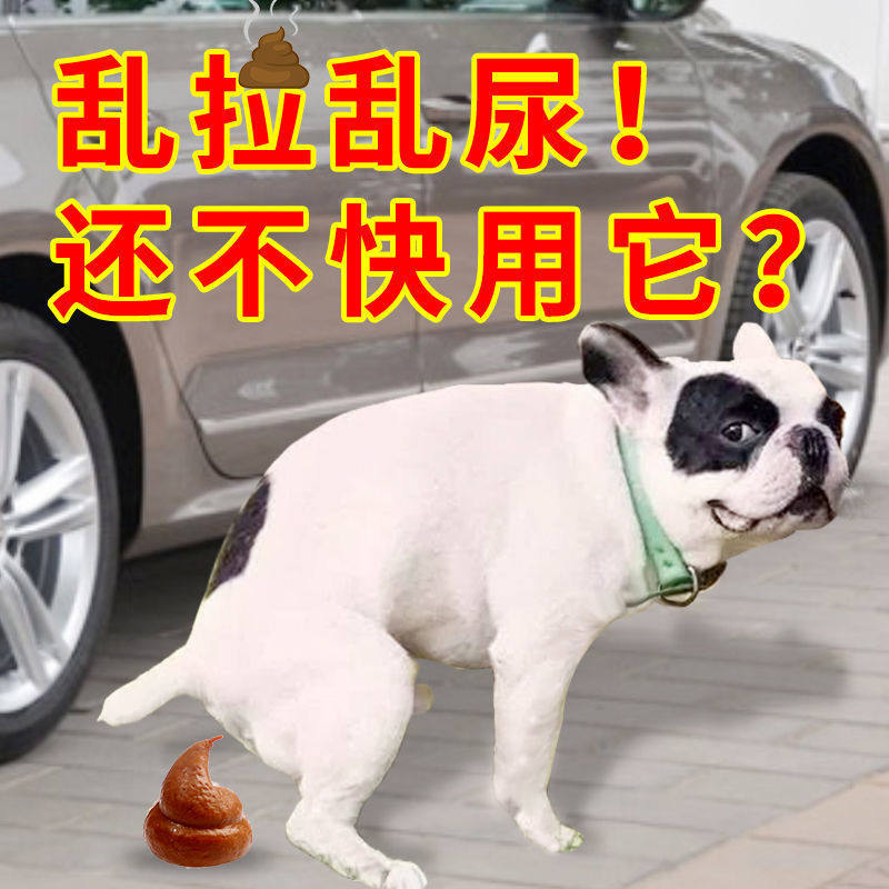 Dog Training Pinpoint on Toilet Inducers Teach Dogs Kitty PINPOINT Urine Urine Guide Defecation Deity