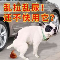 Dog Training Pinpoint on Toilet Inducers Teach Dogs Kitty PINPOINT Urine Urine Guide Defecation Deity