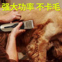 Pooch shaving machine teddy gold wool boomey kitty pet store special electric push cut haircut pedicure fur pushers