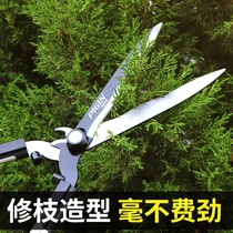 Gardening Scissors Garden Flower and Tree Pruning Shears Mowing Lawn Hedge Shears Strong Trimming Straw Shears