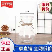 Green Luo water bottle glass personality creative small flower decoration still dried flower Home glass bottle Nordic flower water culture