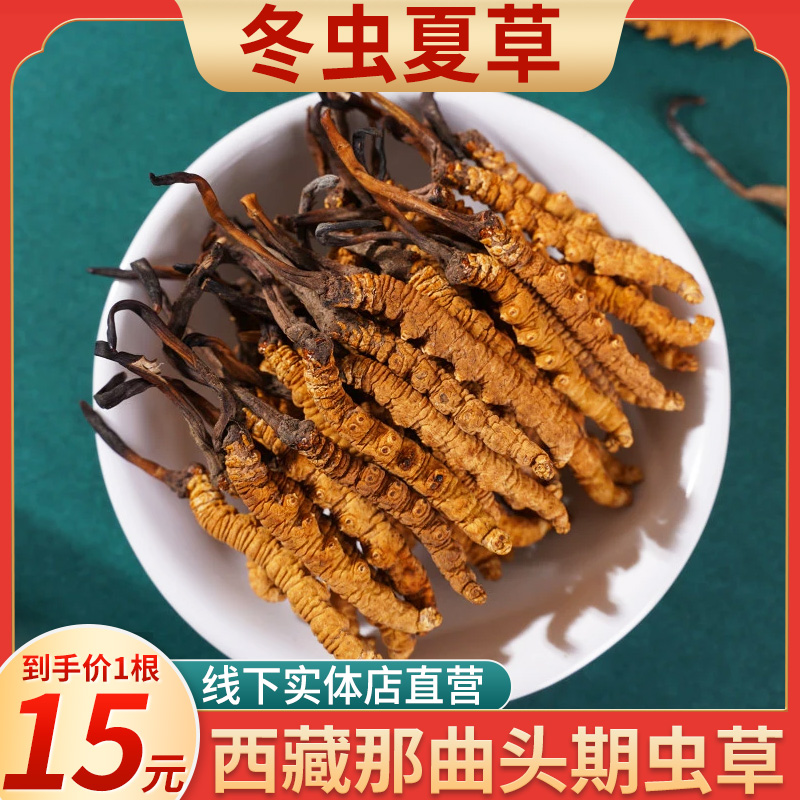 Fresh Cordyceps sinensis 0 3g root cut grass soup tea