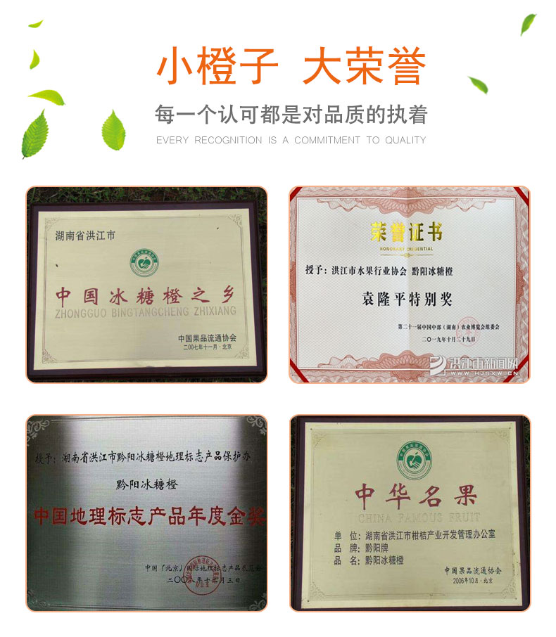 黔阳 冰糖橙 9斤 单果60-65mm 图1