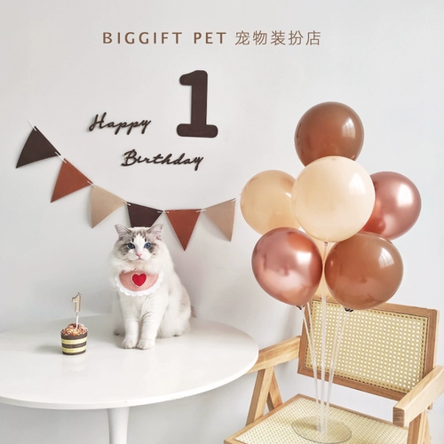 Вечернее платье, воздушный шар, нагрудник, кот, домашний питомец, наряжаться