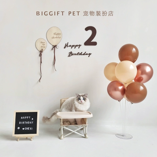 Вечернее платье, воздушный шар, нагрудник, кот, домашний питомец, наряжаться