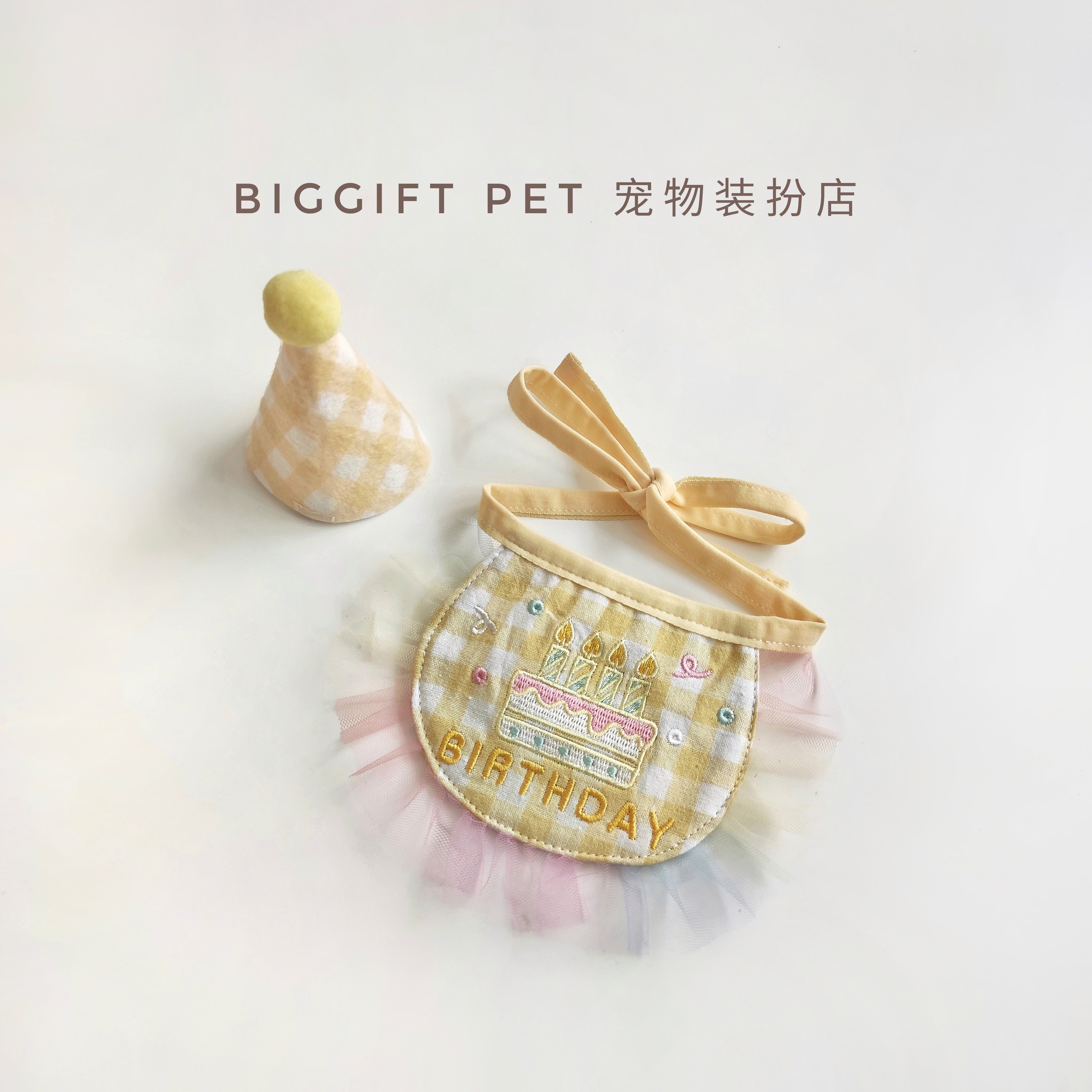 In Pet Birthday Dress Party Around Backcake Hat Catty Dog Mouth Touch Water Towel Lovely Decorated around Neck