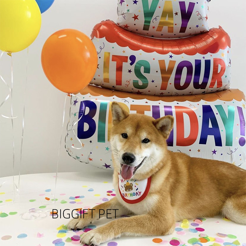 Pet Birthday Decoration Cake Balloon Dog PartysPlaceBackbackwall in Festive Tapping Props