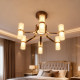 The Same Model as the Physical Store: Modern Light Luxury Led Living Room Chandelier, Stylish Bedroom Lamp, High-End Dining Room Lighting, Xinglan