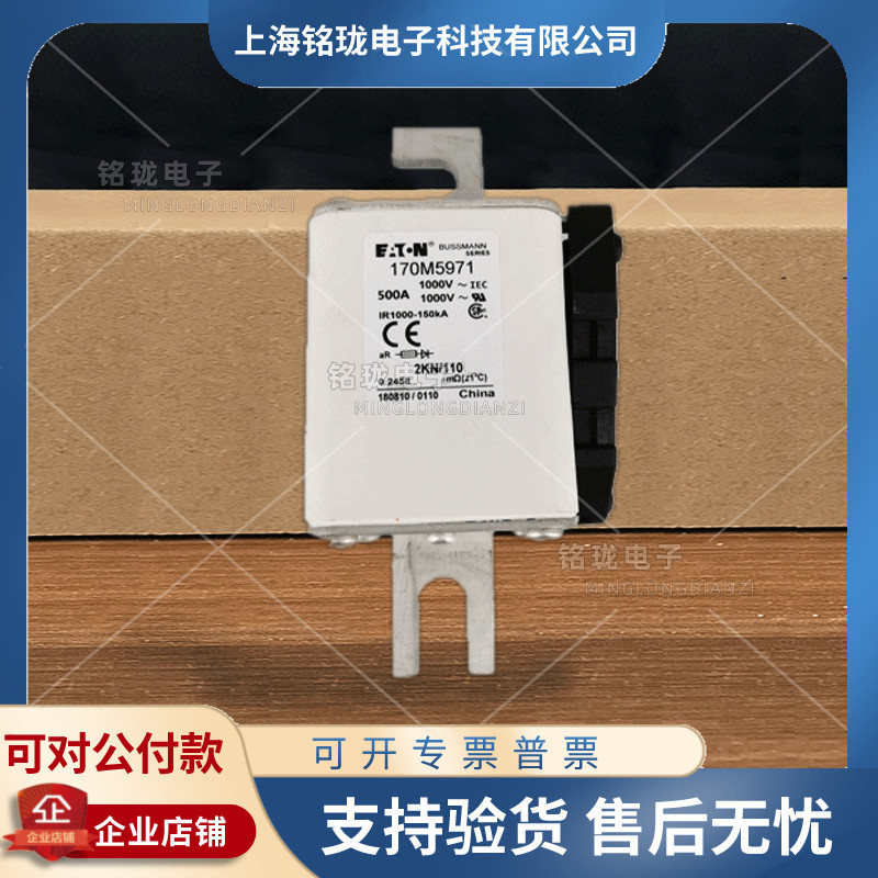 New 170M5927 170M5928 170M5929 170M5930 170M5931 Basman fuse